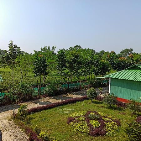Grasshopper Jungle Queen Resort Chālsa Εξωτερικό φωτογραφία