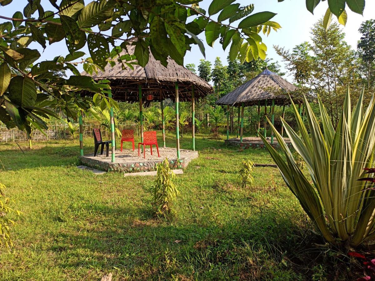 Grasshopper Jungle Queen Resort Chālsa Εξωτερικό φωτογραφία