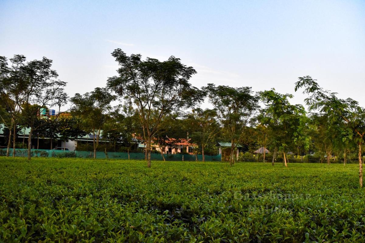 Grasshopper Jungle Queen Resort Chālsa Εξωτερικό φωτογραφία