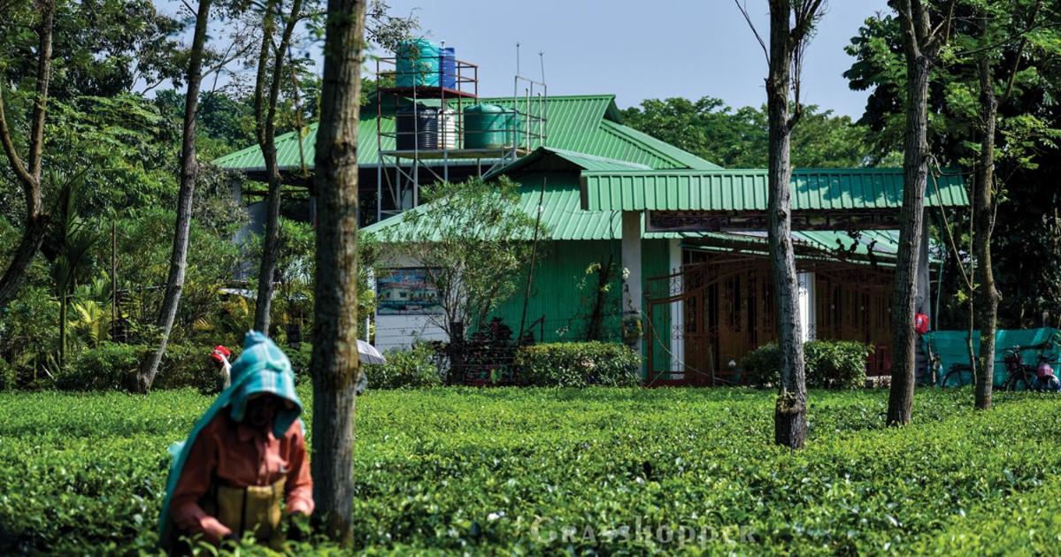 Grasshopper Jungle Queen Resort Chālsa Εξωτερικό φωτογραφία